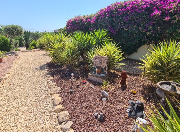 Resale - Finca / Country Property *  - Catral *