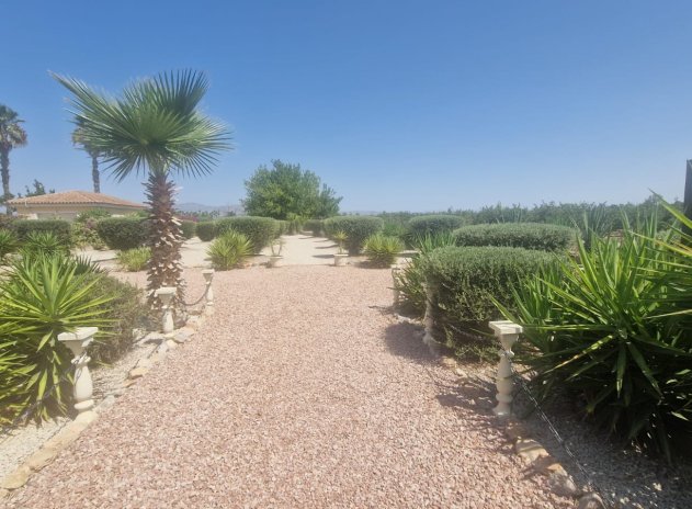 Resale - Finca / Country Property *  - Catral *