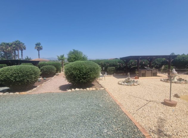 Resale - Finca / Country Property *  - Catral *