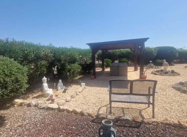 Resale - Finca / Country Property *  - Catral *