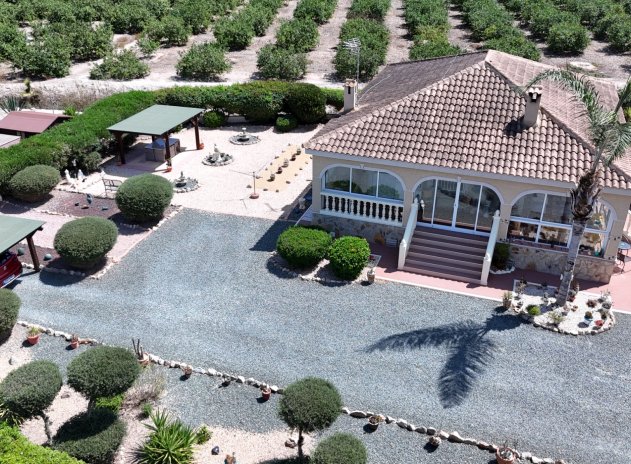 Resale - Finca / Country Property *  - Catral *