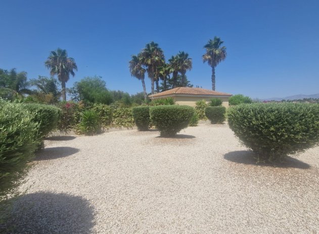 Resale - Finca / Country Property *  - Catral *
