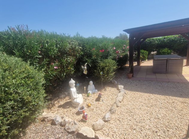 Resale - Finca / Country Property *  - Catral *