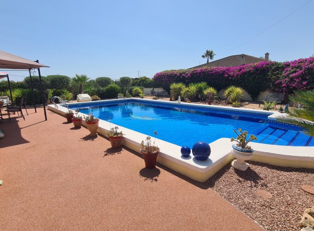 Resale - Finca / Country Property *  - Catral *