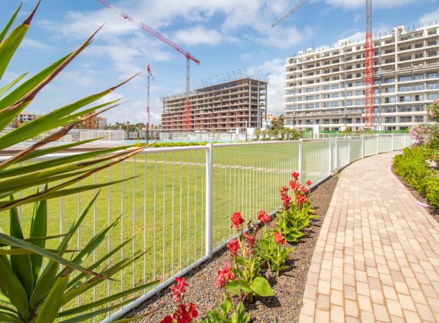 Herverkoop - Appartement - Torrevieja - Punta Prima