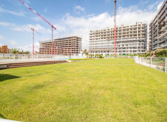 Herverkoop - Appartement - Torrevieja - Punta Prima