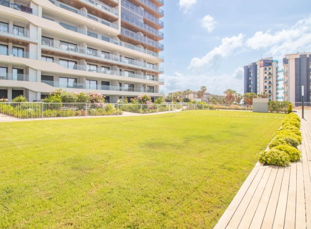 Herverkoop - Appartement - Torrevieja - Punta Prima
