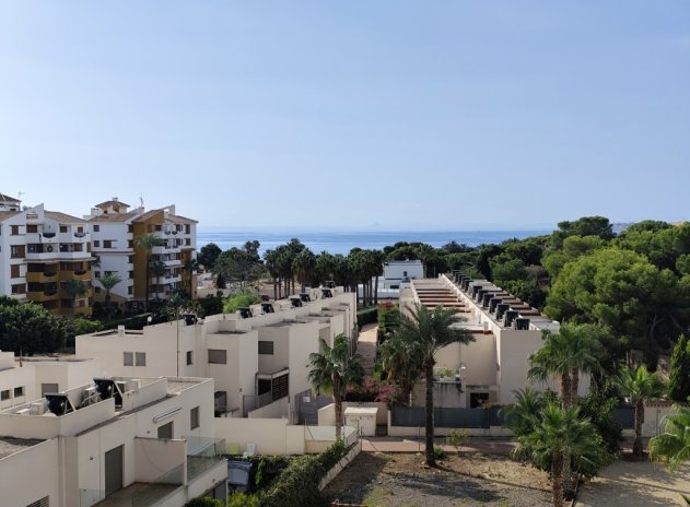 Herverkoop - Appartement - Punta Prima