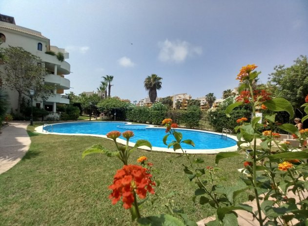 Herverkoop - Appartement - Punta Prima