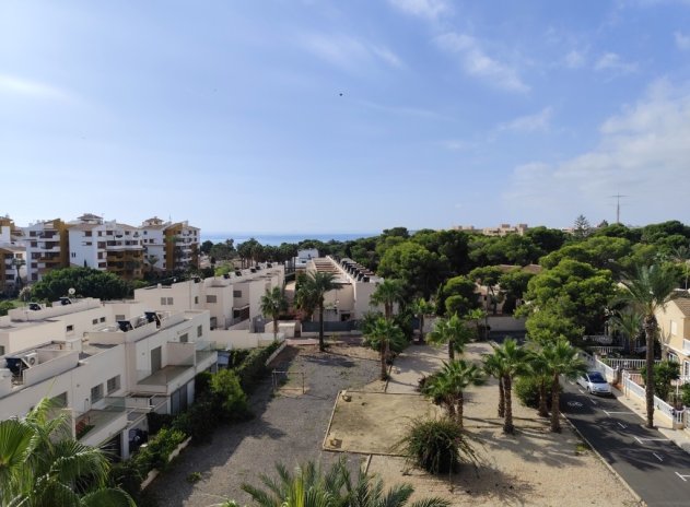 Herverkoop - Appartement - Punta Prima