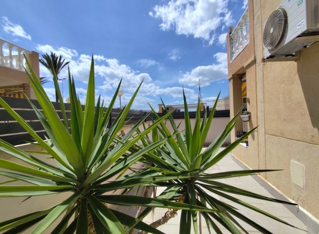 Wiederverkauf - Wohnung - Torrevieja