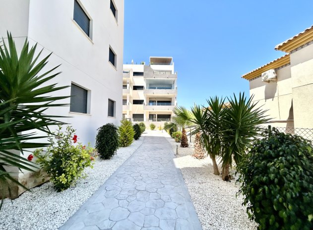 Revente - Appartement - Los Dolses