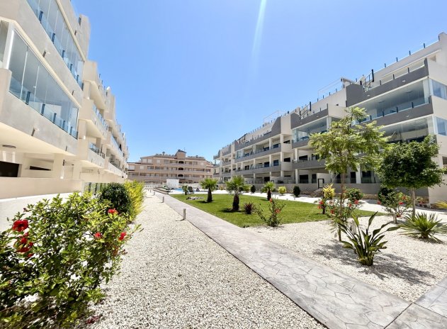 Revente - Appartement - Los Dolses