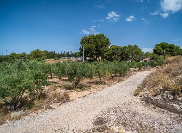 Reventa - Villa - LA TERCIA - La Tercia