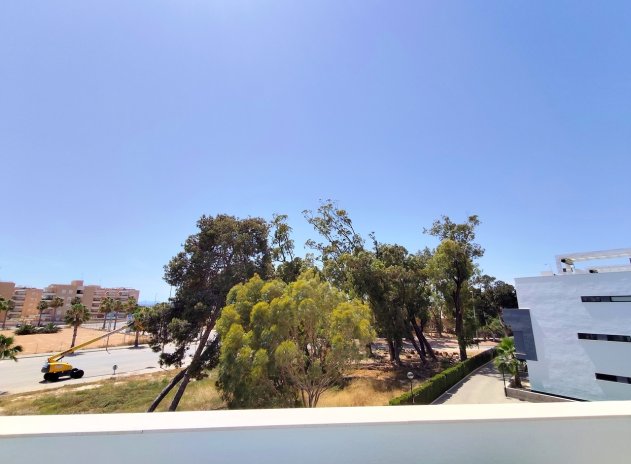 Reventa - Apartamento / Piso - Guardamar del Segura