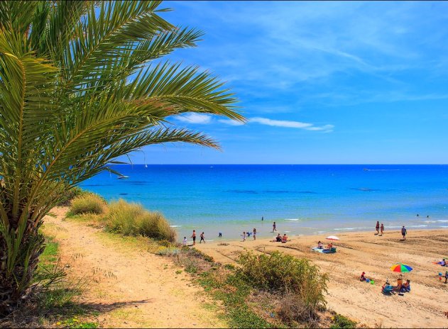 Nouvelle construction - Villa - Cabo Roig