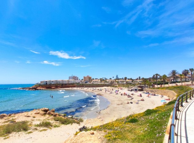 Reventa - Comercial - La Zenia