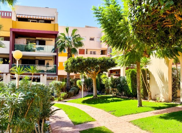 Revente - Appartement - Playa Flamenca