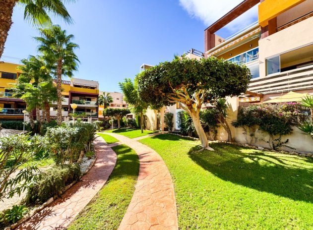 Revente - Appartement - Playa Flamenca