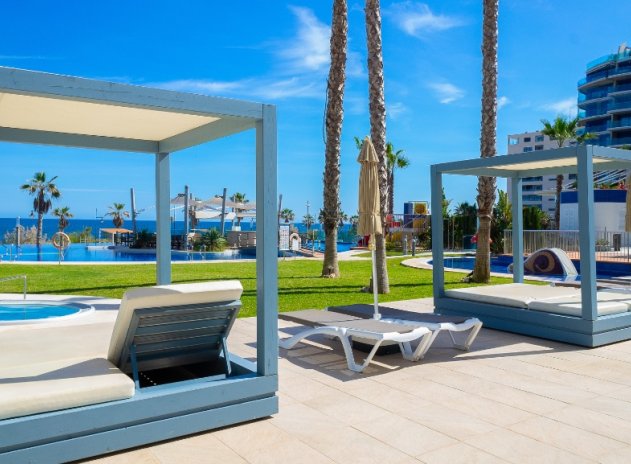 Revente - Appartement - Punta Prima