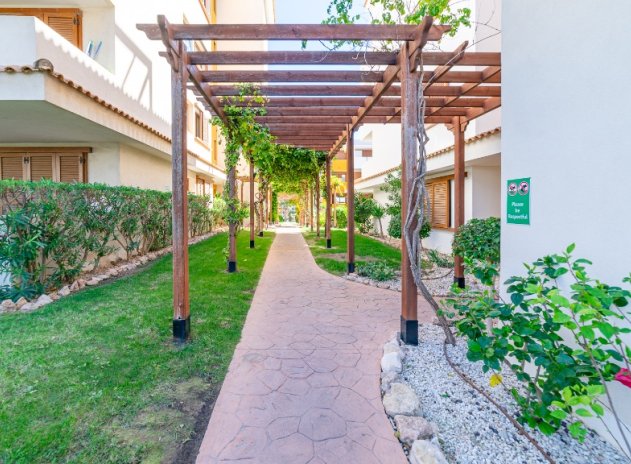 Wiederverkauf - Apartament - Punta Prima