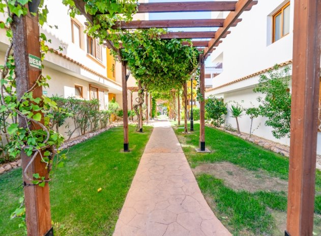 Wiederverkauf - Apartament - Punta Prima