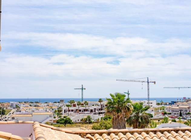 Revente - Apartament - Punta Prima - La Ciñuelica