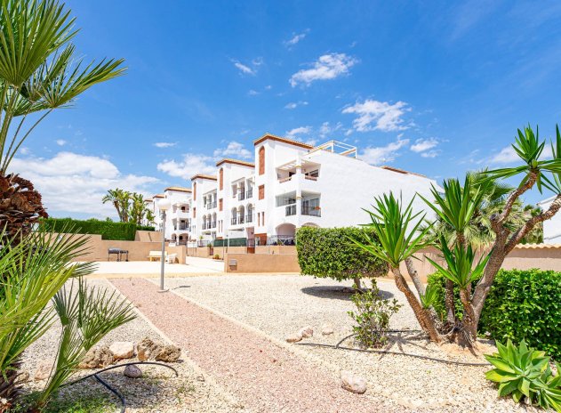 Revente - Apartament - Punta Prima - La Ciñuelica