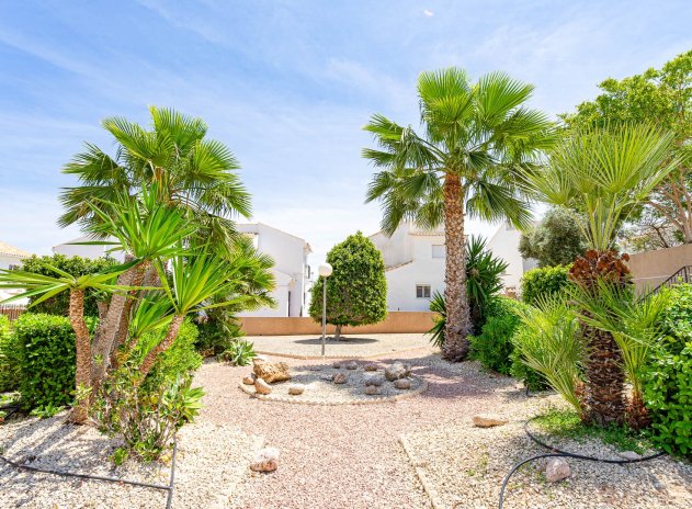 Revente - Apartament - Punta Prima - La Ciñuelica