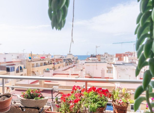 Wiederverkauf - Wohnung - Torrevieja
