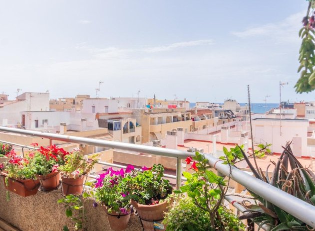 Wiederverkauf - Wohnung - Torrevieja