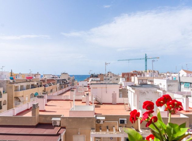 Wiederverkauf - Wohnung - Torrevieja