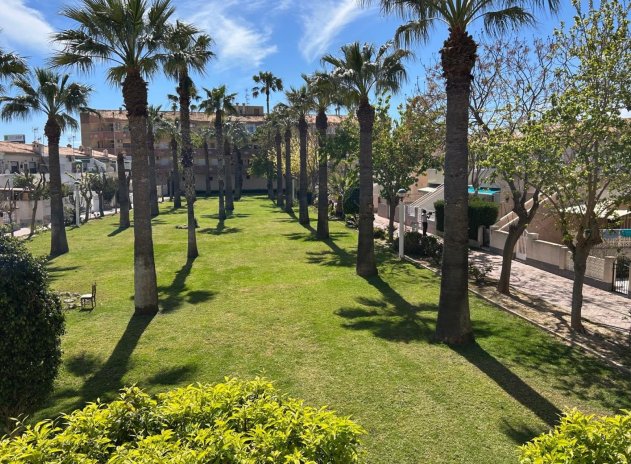 Reventa - Apartamento / Piso - Cabo Roig