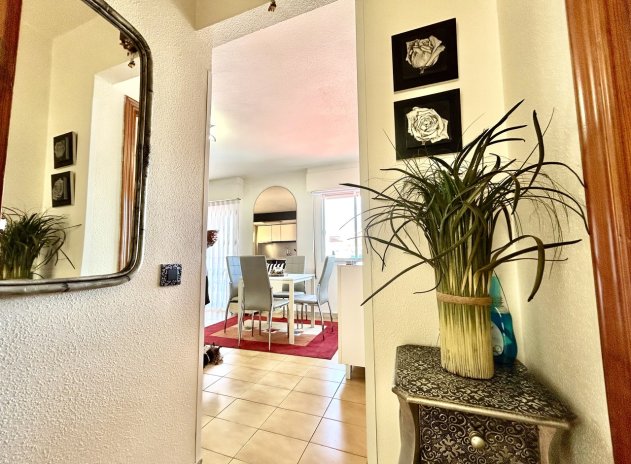 Revente - Appartement - Torrevieja