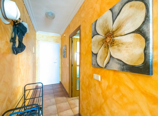 Herverkoop - Appartement - Torrevieja - Acequion