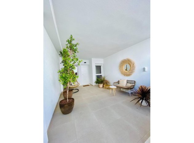 Nouvelle construction - Appartement - Pilar de la Horadada