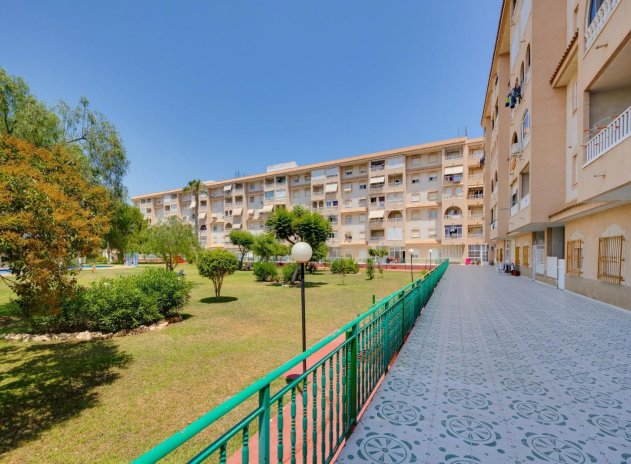 Herverkoop - Appartement - Torrevieja - Parque de las Naciones