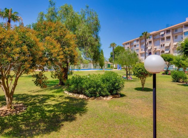 Herverkoop - Appartement - Torrevieja - Parque de las Naciones