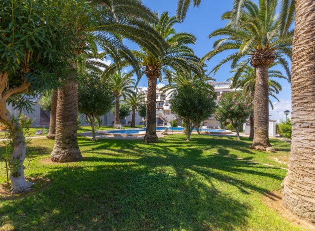 Revente - Appartement - La Mata