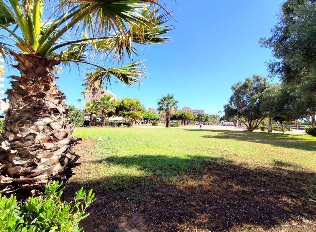 Revente - Appartement - Torrevieja