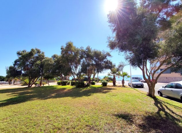 Revente - Appartement - Torrevieja