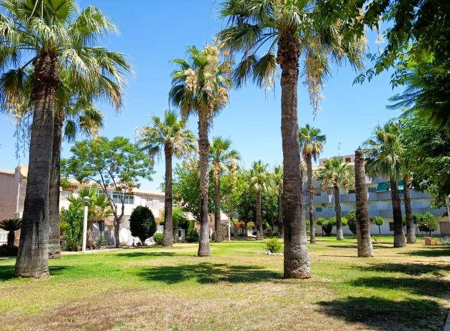 Herverkoop - Appartement - Orihuela Costa - La Regia