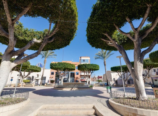 Nouvelle construction - Appartement - San Fulgencio