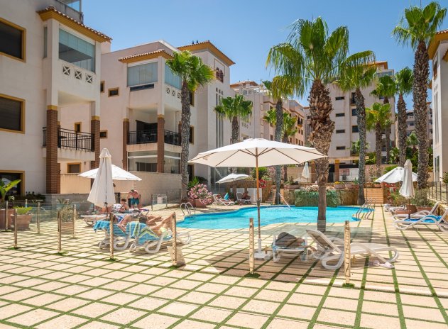 Herverkoop - Appartement - Guardamar del Segura