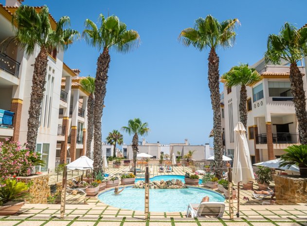 Herverkoop - Appartement - Guardamar del Segura