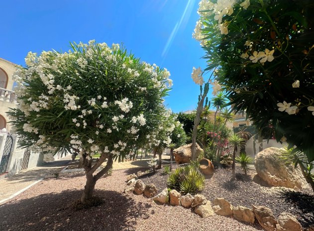 Herverkoop - Appartement - La Mata