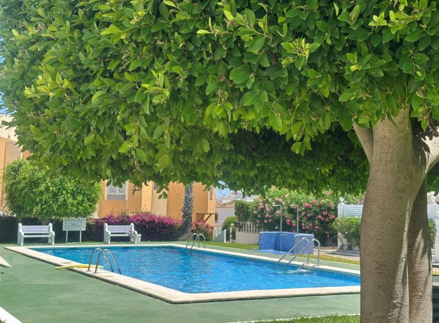 Herverkoop - Appartement - La Mata