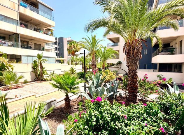 Herverkoop - Appartement - Orihuela Costa - La Zenia