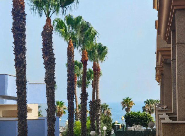 Herverkoop - Appartement - Orihuela Costa - Aguamarina