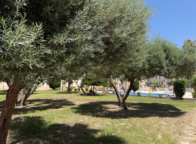 Wiederverkauf - Wohnung - Orihuela Costa - Blue Lagoon